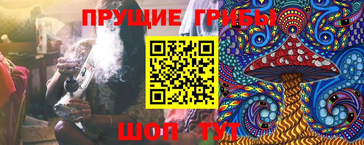 купить   Галлюциногенные грибы прущие грибы  Волгодонск  Вход с VPN  Галлюциногенные грибы Psilocybe 