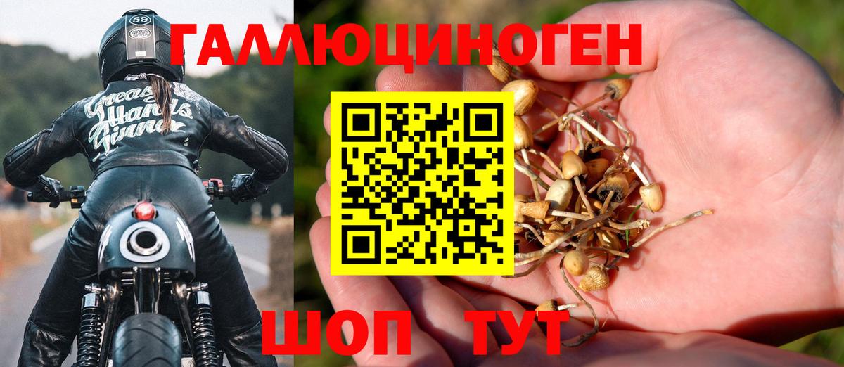 Псилоцибиновые грибы MAGIC MUSHROOMS Волгодонск